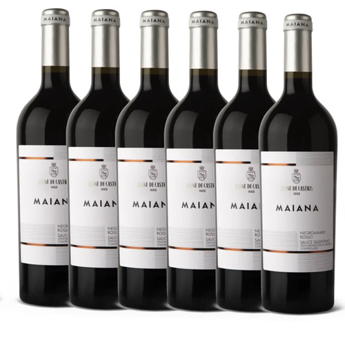 Leone castris maiana - castris,